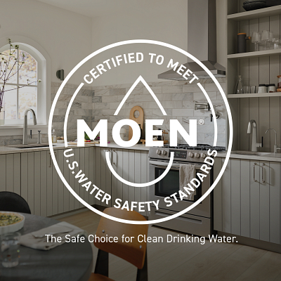 Moen Delta Faucet