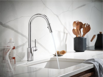 Moen Delta Faucet